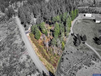 19830 Sharon Tony Way SE, Silverton, OR 97381