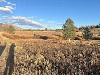 25865 Lodgepole Dr, Clark, CO 80428