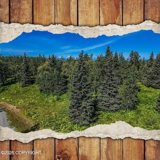 15422 Tovarish Rd, Ninilchik, AK 99639