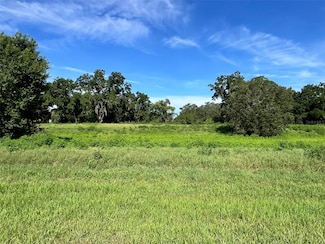 0 SE 8th Ave Unit Lot 5 MFROM634637, Ocala, FL 34480