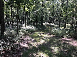 TBD Hinkle Mountain Rd, Petersburg, WV 26847