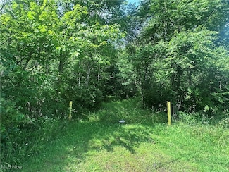 0 Failer St Unit 5135884, East Palestine, OH 44413