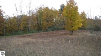 00 Fewins Rd, Honor, MI 49640