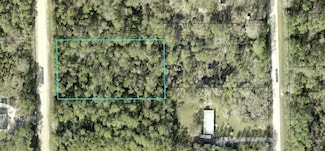 1353 Rosewood St, Bunnell, FL 32110