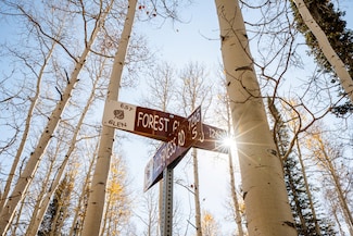 12385 E Forest Rd, Brighton, UT 84121