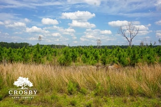 0 Colston Rd, Ehrhardt, SC 29081