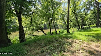 4245 Cave Springs Rd, Tazewell, TN 37879