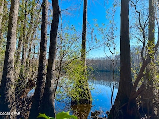 4661 Moss Hill Rd, Chipley, FL 32428