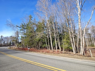 VL W Lake Mitchell Dr, Selma Township, MI 49601
