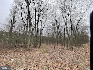 452 Hay Stack Dr, North Union Township, PA 17985