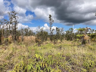 0 Omeka Rd Unit 721760, Volcano, HI 96785