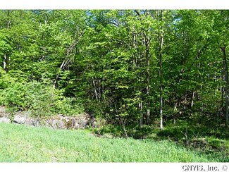 0 Beartown Rd Unit S291441, Antwerp, NY 13608