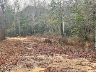 205 Rue Street Germaine, Carriere, MS 39426