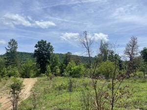 0 Tract 13 Terrapin Rd Unit 145608, Harrison, AR 72601