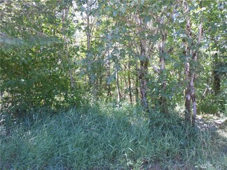 0 Rose Valley Rd Unit 1182539, Kelso, WA 98626