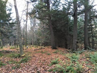Lot 3 Big Doe Rd, Lake Tomahawk, WI 54539