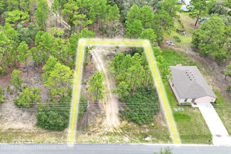 9542 N Paradisea Dr, Citrus Springs, FL 34433