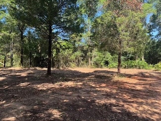 10765 Georgetown Hills Ct, Chunchula, AL 36521