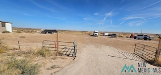 E of 36 S Donaldson Farm Rd, Loving, NM 88256