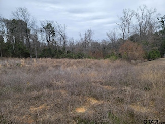 3515 Chapel View, Tyler, TX 75707