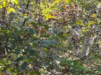 575-00021-000 Hill Ln, Flippin, AR 72634