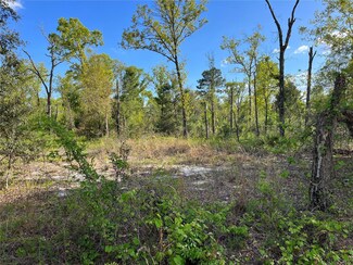 0 Fisher Lane Way Unit MFROM659427, Ocklawaha, FL 32179