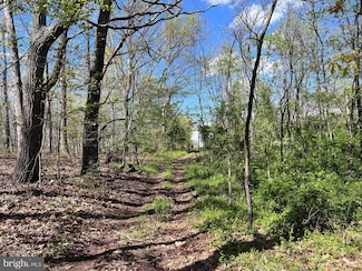 360 Pheasant Ln, Berkeley Springs, WV 25411