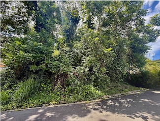 Solar 17 Bo Caguitas, Aguas Buenas, PR 00703