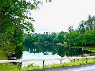Lot 8.4 Beaver Brook Rd, Yulan, NY 12792