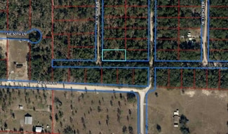 TBD NE 138th Ave, Williston, FL 32696