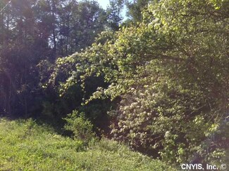 0 Carey Hill Rd Unit S283840, Fenner, NY 13035