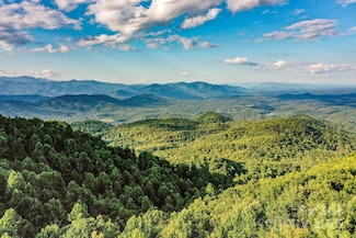 9999 Cliff Ledge Trail, Black Mountain, NC 28711