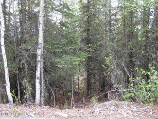 18170 Loveall Loop, Clam Gulch, AK 99568