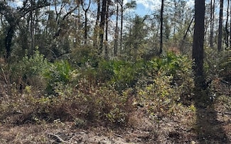 TBD SW 74th Way, Other Florida, FL 32052