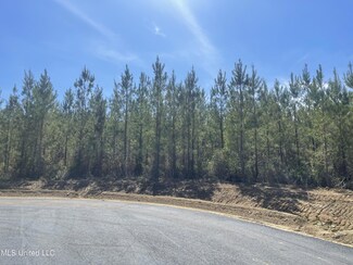 Lot 28 Freedom Ridge Ln, Brandon, MS 39047