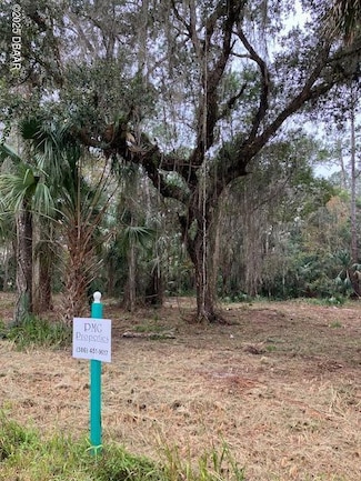 0 Shell Harbor Rd Unit 1208025, Pierson, FL 32180