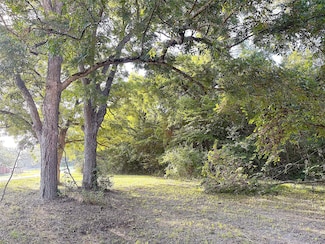 TBD Lil Arkansas Rd, Bells, TX 75414