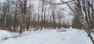 TBD Tschury Dr, Iron River Township, MI 49935