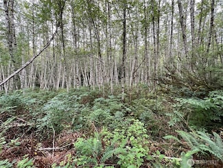 4 XX Scenic Dr NE, Poulsbo, WA 98370