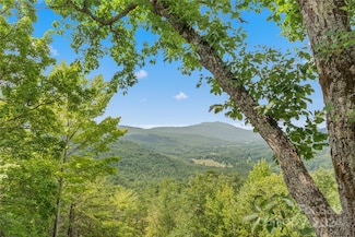 1734 Linville Dr, Marion, NC 28752