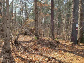 209-8 Center Harbor Neck Rd Unit 1, Center Harbor, NH 03226