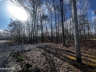 470 Trimmer Ln, Jamestown, TN 38556