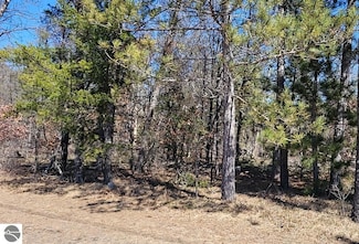 Site 6 Lumberjack Ct, Grayling Township, MI 49738