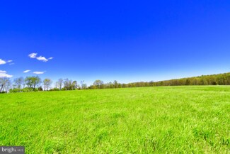 LOT 1 Middle Fork Rd, Gainesboro, VA 22625