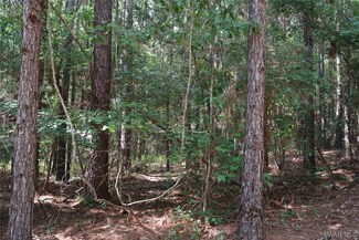 15157 Highway 51, Ariton, AL 36311