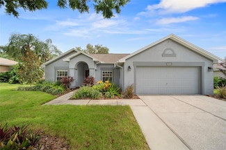 10314 Deepbrook Dr, Riverview, FL 33569