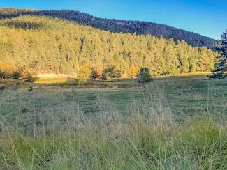 00 Billie Jean Way Unit 41, Cloudcroft, NM 88317