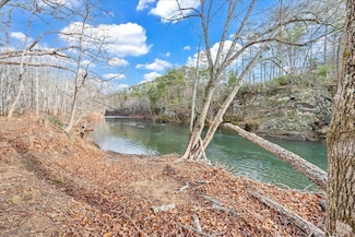 0 Craig Creek Rd Unit 913310, Eagle Rock, VA 24085