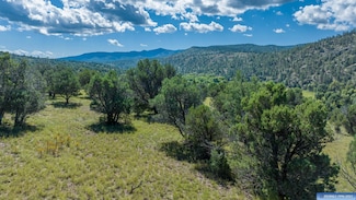 Lot 4 A Highway 15 & 35, Lake Roberts, NM 88041