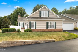 158 Avonlea Place, Johnson City, TN 37604